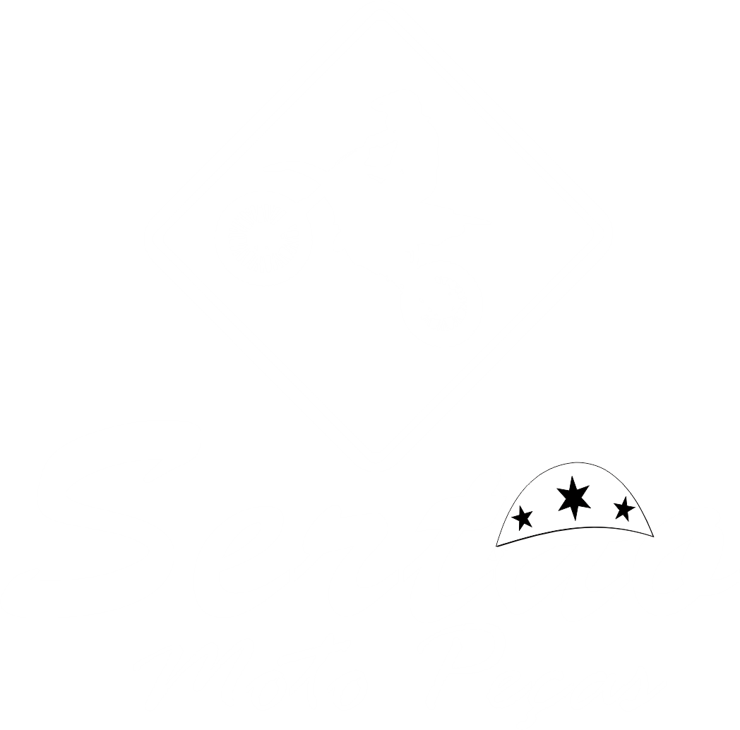 SERTAO MOTO PEÇA