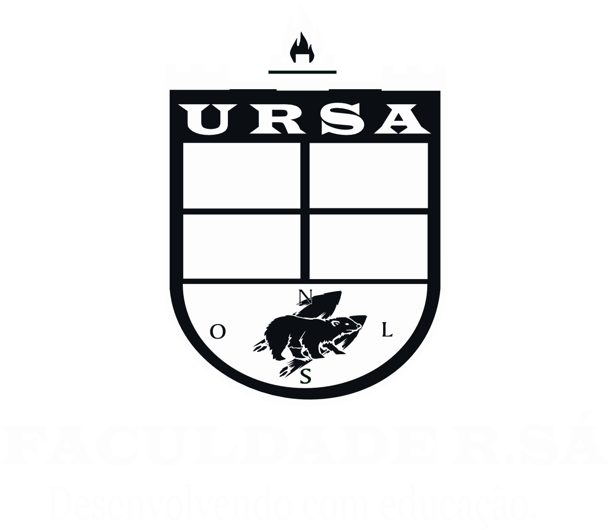 FACULDADE RSA